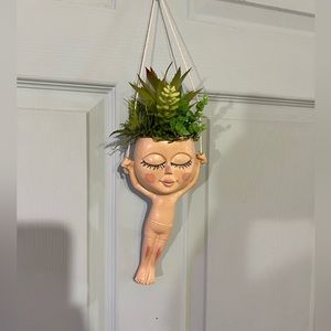 Hanging Succulents in Pot Head New